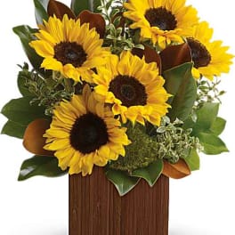 Sunflower arrangement in a tall rectangular vase