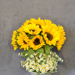 Sunny Sunflowers