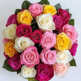 Multi colors 2 dozen roses bouquet