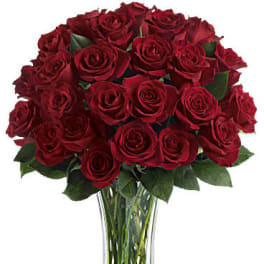 Love and Devotion - Long Stemmed Red Roses