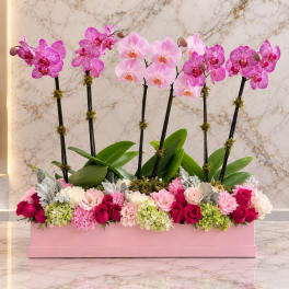 Pink and magenta orchids with roses and hydrangeas in a pink box