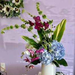 Tall floral arrangement with blue hydrangeas and magenta orchids in a white vase