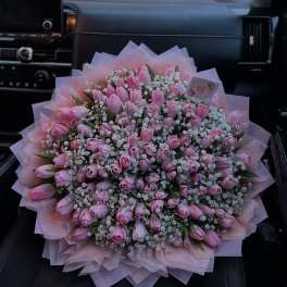 Large bouquet of pink tulips and baby's breath wrapped in pale pink paper