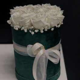 green elegant box