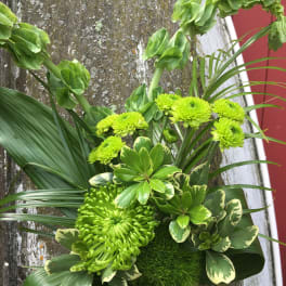 Green chrysanthemum arrangement with variegated foliage and palm leaves