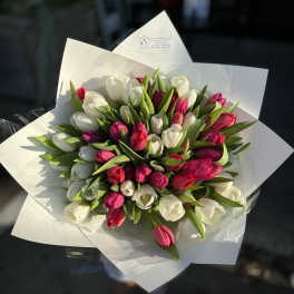 Bouquet of white and pink tulips wrapped in white paper