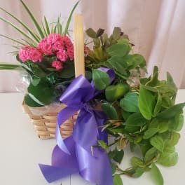 Basket of pink flowers and green plants tied with a purple ribbon