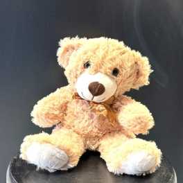 #A025 - Snuggle Bear