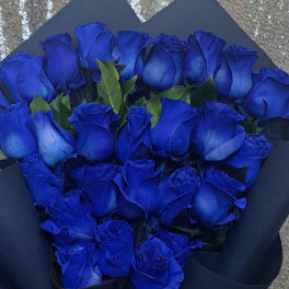Blue roses