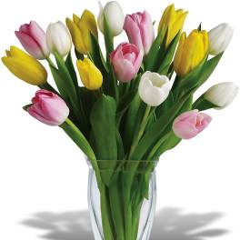 Bouquet of pink, yellow, and white tulips in a clear glass vase