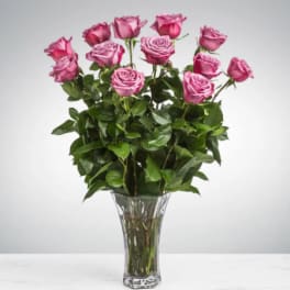 Dozen Long Stemmed Lavender Roses by BloomNation™
