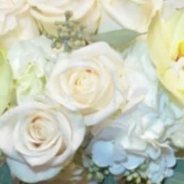 White roses and pale blue hydrangeas in a close-up bouquet