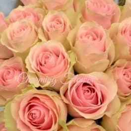 Close-up bouquet of pale pink roses