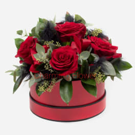 Red roses arranged in a round red box with greenery and black feathers
