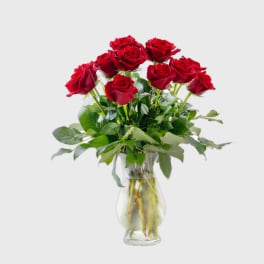 Dozen Long Stemmed Red Roses