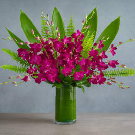 Magenta orchids arranged in a tall glass vase with broad green leaves