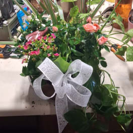 Pink roses and small pink blossoms in a pot with a white ribbon bow