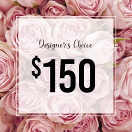 Designer's Choice - 150$