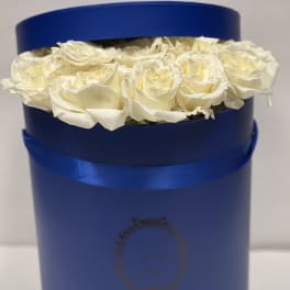 White roses arranged in a blue round box with a satin ribbon