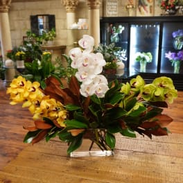 Orchid arrangement in a clear glass vase with yellow, white, and green blooms