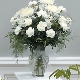 White Wonder