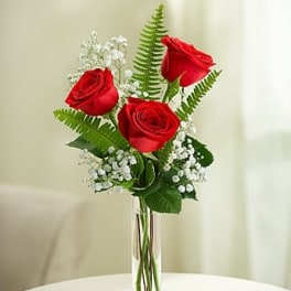 Love's Embrace Roses - THREE RED