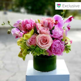 positano bloomnation
