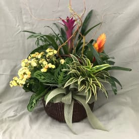 Irvine Village Flowers Irvine Ca Florist