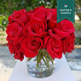 Send on sale xmas flowers