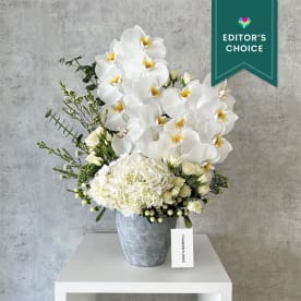 Send sales xmas flowers