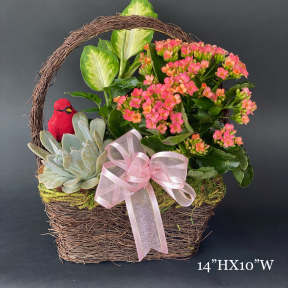 Basket arrangement with pink flowers, succulents, and a pink ribbon bow