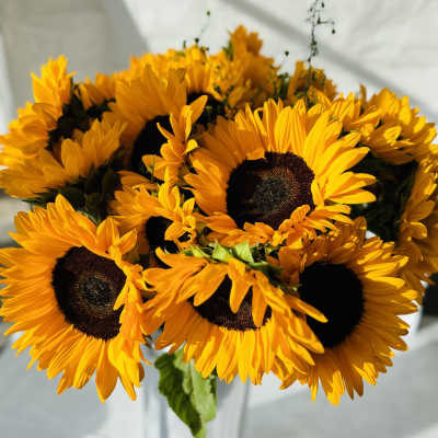 Arrangement of bright yellow sunflowers with dark centers in a tall white vase