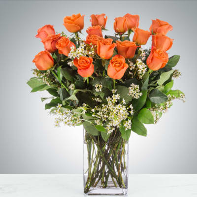 Long Stem Coral Roses