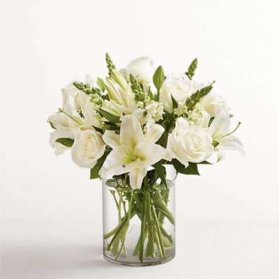 White Classic