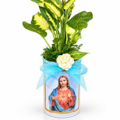 Potted variegated plant with a blue ribbon and religious image on the container