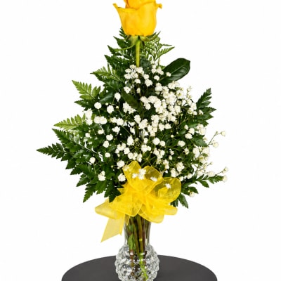Yellow roses with white baby's breath in a clear vase with a yellow bow
