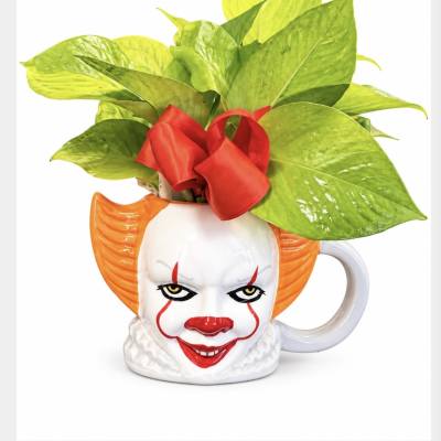 Potted green plant in a clown-face mug with a red ribbon