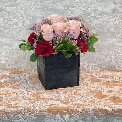 Bloom in a box