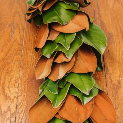 Stacked green and brown magnolia leaves on a wooden surface