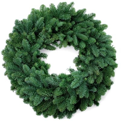 Green evergreen wreath on a white background