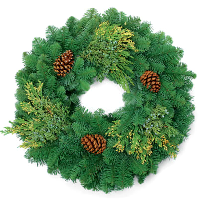 Evergreen wreath with pinecones on a white background