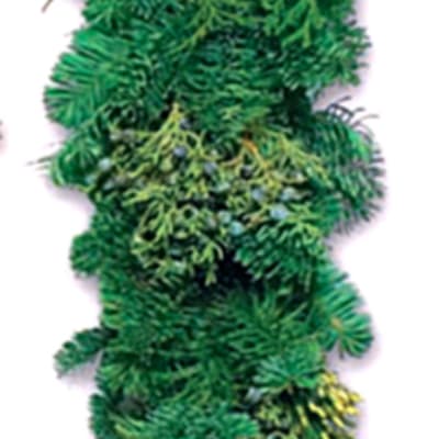 Dense green foliage arrangement with no visible flowers