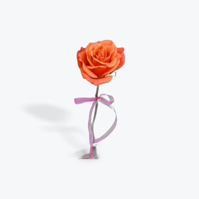 Single orange rose with a pink ribbon tied around the stem