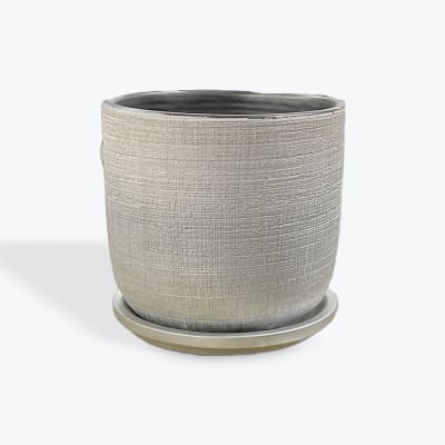 Textured beige ceramic plant pot with a matching saucer