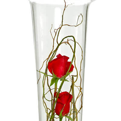 Tall glass vase with red roses and curly branches