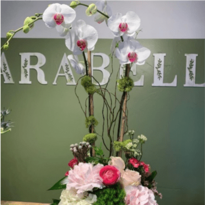 WOODEN BOX ORCHID PLANT WITH CUT FRESH FLOWERS