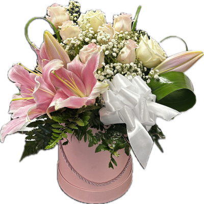 Lily Rose Blush