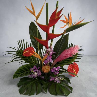 Tropical arrangement with red and orange heliconia, pink ginger, and purple orchids