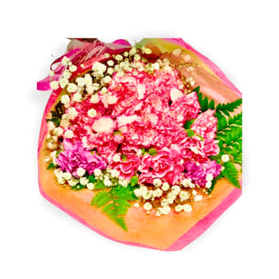 Pink carnation bouquet with baby's breath in bright wrapping