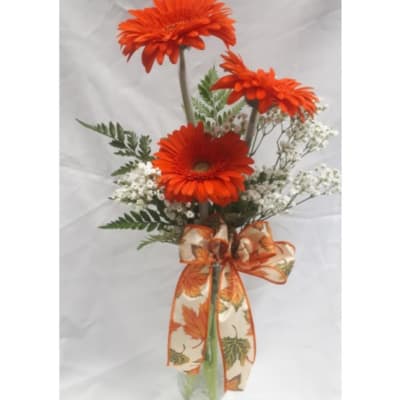 Orange gerbera daisies with baby's breath in a tall vase, tied with a leaf-patterned ribbon.